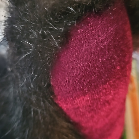 Bombay Company Limited Edition Brown Bear Stuffed Plush Wilson - Picture 5 of 8